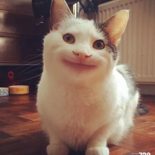 🤣Угарная😂 - Discord Server 🤣Угарная😂 - Discord Server