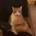 hamoodpit