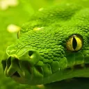El Reptiliarium