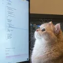Practice c++ to go to ICPC