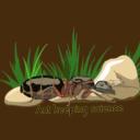 Ant keeping and Science (Global)