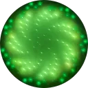 sousastep