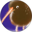 Kiwi's hangout
