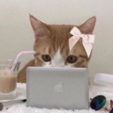 kitty club