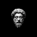 Virtus In Arduis Discord Server Icon