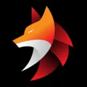 Night Fox Company
