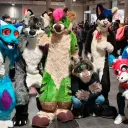 Furry Server