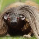 Сервер Вертолёт Discord server icon