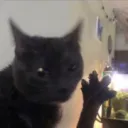 discord.gg/min3side