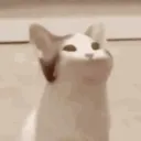 Manicômio