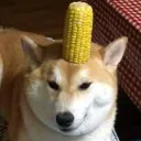 :0