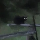 ☆ 𝐭𝐡𝐞 𝐟𝐨𝐫𝐞𝐬𝐭 ☆'s icon