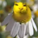 🫧𝓐𝓻𝓽 𝓣𝓲𝓶𝓮 🫧