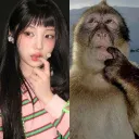 ♱ 𝐊𝐈𝐄𝐕's icon