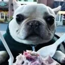 The Other DnD server Discord Server Icon