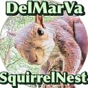SquirrelNestLive's server