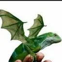 iguanas voladoras