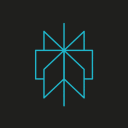 Perplexity Discord Server Icon – Programming