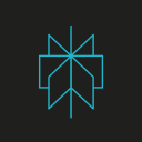 Perplexity icon