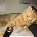 eddie zone Discord Server Icon