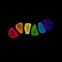 Particle Life