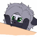 🖤Friendly Furries United 18+🖤's icon