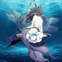 AQUADORE