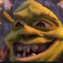 Local Zoo Server Icon