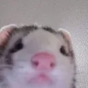 Puto Huron server