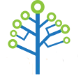 Genealogy Wiki