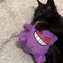 👹👹MY LITTLE MEOW MEOWS 👹👹