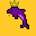 Dank Dolphins