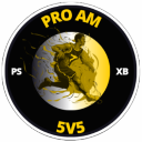 Discovery icon for PRO AM 5V5 LEAGUE Discord server