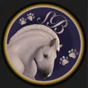 𝕊𝕥𝕖𝕖𝕝 𝔹𝕖𝕒𝕣𝕤 𝕆𝕊