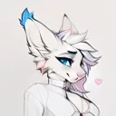 FurryFuckToys
