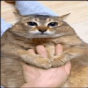 Faxing sweepstakes Discord server icon