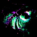 zethroa / xxu6 (lexxndr)