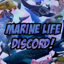 Marinelife Discord
