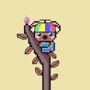 Kawaii Koalas