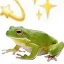 FroggyFriends discord icon