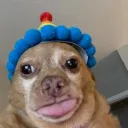 wetsloppykissing Discord Server Icon