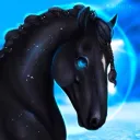 Sirius Dressage Open Stars