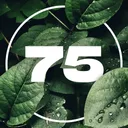 75 Projects