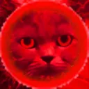 Kitty007's