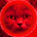 Kitty007's