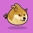 DOGE TWEET
