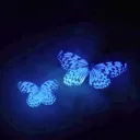 𝐍 𝐄 𝐕 𝐄 𝐑 𝐂𝐨𝐦𝐦𝐮𝐧𝐢𝐭𝐲