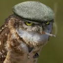 Типа стример
