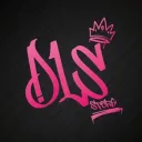 DLS STORE - FiveM