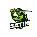 The Satin Ninjas